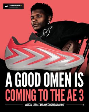 Image post by @soleretriever on Instagram