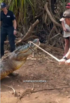 Video post by @60minutes on TikTok
