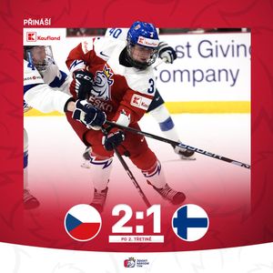 Image post by @narodnitymzen on Twitter