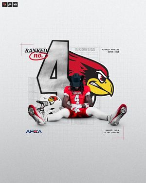 Image post by @isuredbirdfb on Instagram