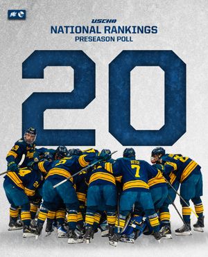 Image post by @merrimack_mih on Instagram