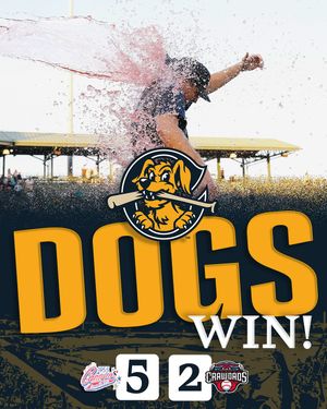 Image post by @chasriverdogs on Instagram