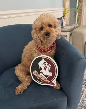 Image post by @barstoolfsu on Instagram