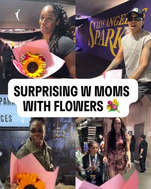 Image post by @wnba on Instagram