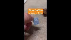 Video post by @YouTube on YouTube