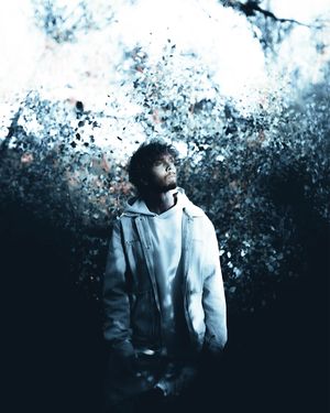 Image post by @hudsonratz on Instagram