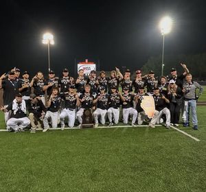 Image post by @ihsa_il on Instagram