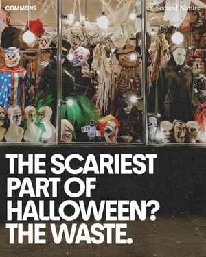 Image post by @commonsearth on Instagram