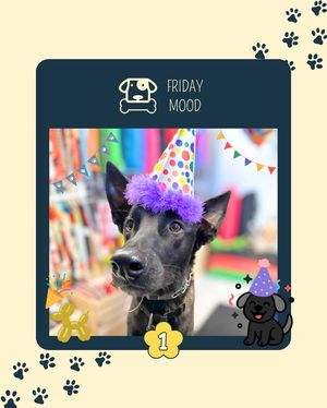 Image post by @saintroccostreats on Instagram