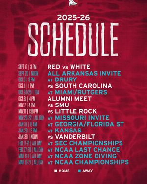 Image post by @razorbackswimdive on Instagram