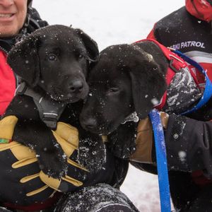 Image post by @pcski on Instagram