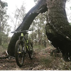 Image post by @nukeproofbikes on Instagram