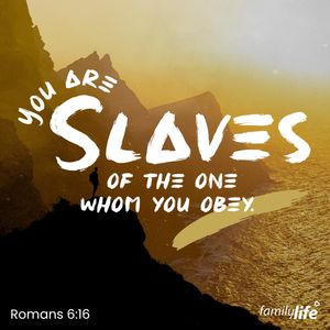 Image post by @familylifenypa on Instagram