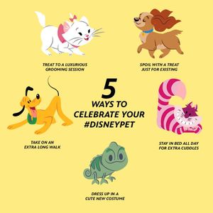 Image post by @disneypets on Instagram