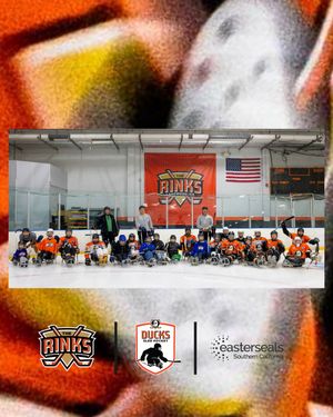 Image post by @the_rinks on Instagram