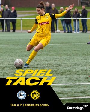Image post by @BVB on Twitter