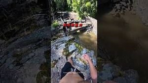 Video post by @dji on YouTube