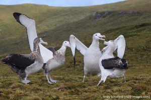 Image post by @rspb on Instagram