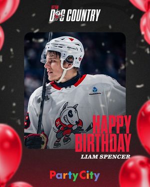 Image post by @ohlicedogs on Instagram