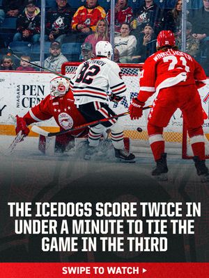 Image post by @ohlicedogs on Instagram