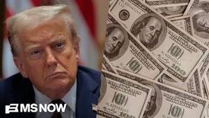 Video post by @msnbc on YouTube