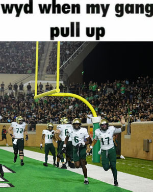Image post by @USFAthletics on Twitter