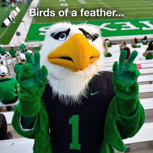 Image post by @untunion on Instagram