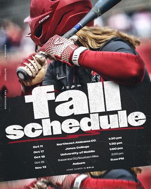 Image post by @bamasb on Instagram