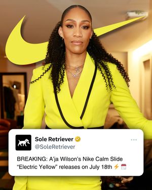 Image post by @soleretriever on Instagram