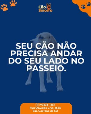 Image post by @adestradores.caosincero on Instagram