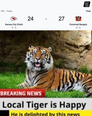 Image post by @nflonprime on Instagram