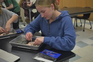 Image post by @ahswarriormedia on Instagram