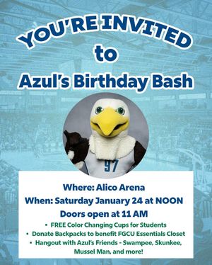 Image post by @fgcuathletics on Instagram