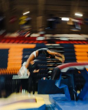 Image post by @bamagymnastics on Instagram