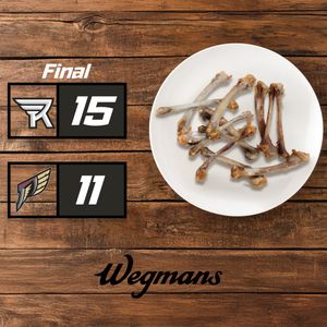 Image post by @rocknighthawks on Instagram