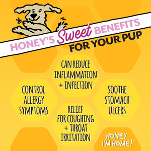Image post by @honeyimhome on Instagram