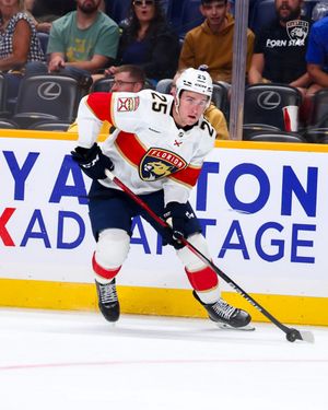 Image post by @FlaPanthers on Twitter
