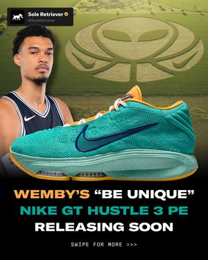 Image post by @soleretriever on Instagram