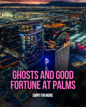 Image post by @palms on Instagram
