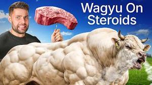Video post by @maxthemeatguy on YouTube