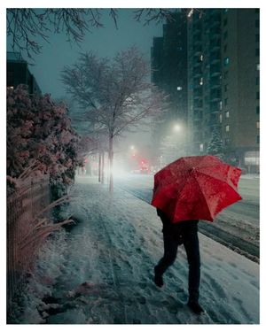Image post by @mtl_unscripted on Instagram