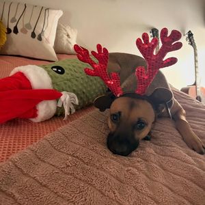 Image post by @emilycoupe on Instagram