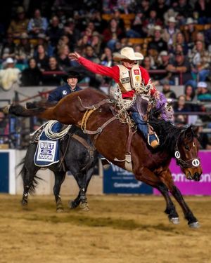 Image post by @nationalwestern on Instagram