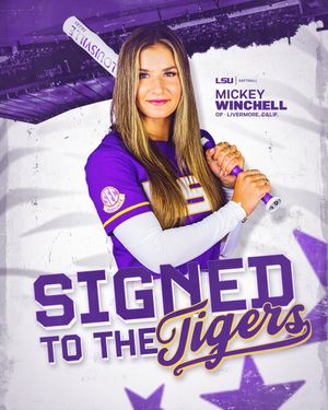 Image post by @LSUsoftball on Twitter