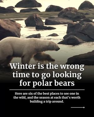 Image post by @matadornetwork on Instagram