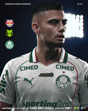 Image post by @palmeiras on Instagram