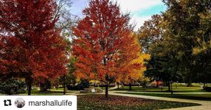 Image post by @marshallu on Instagram