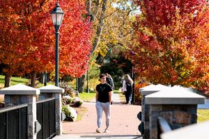 Image post by @endicottcollege on Instagram
