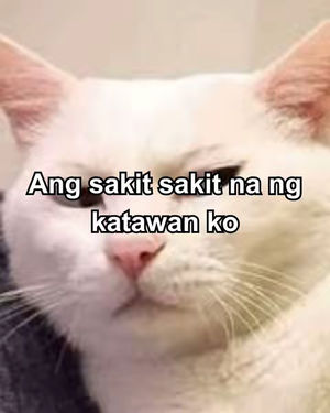 Image post by @abscbnmusic on TikTok