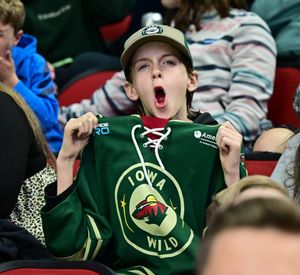 Image post by @IAWild on Twitter